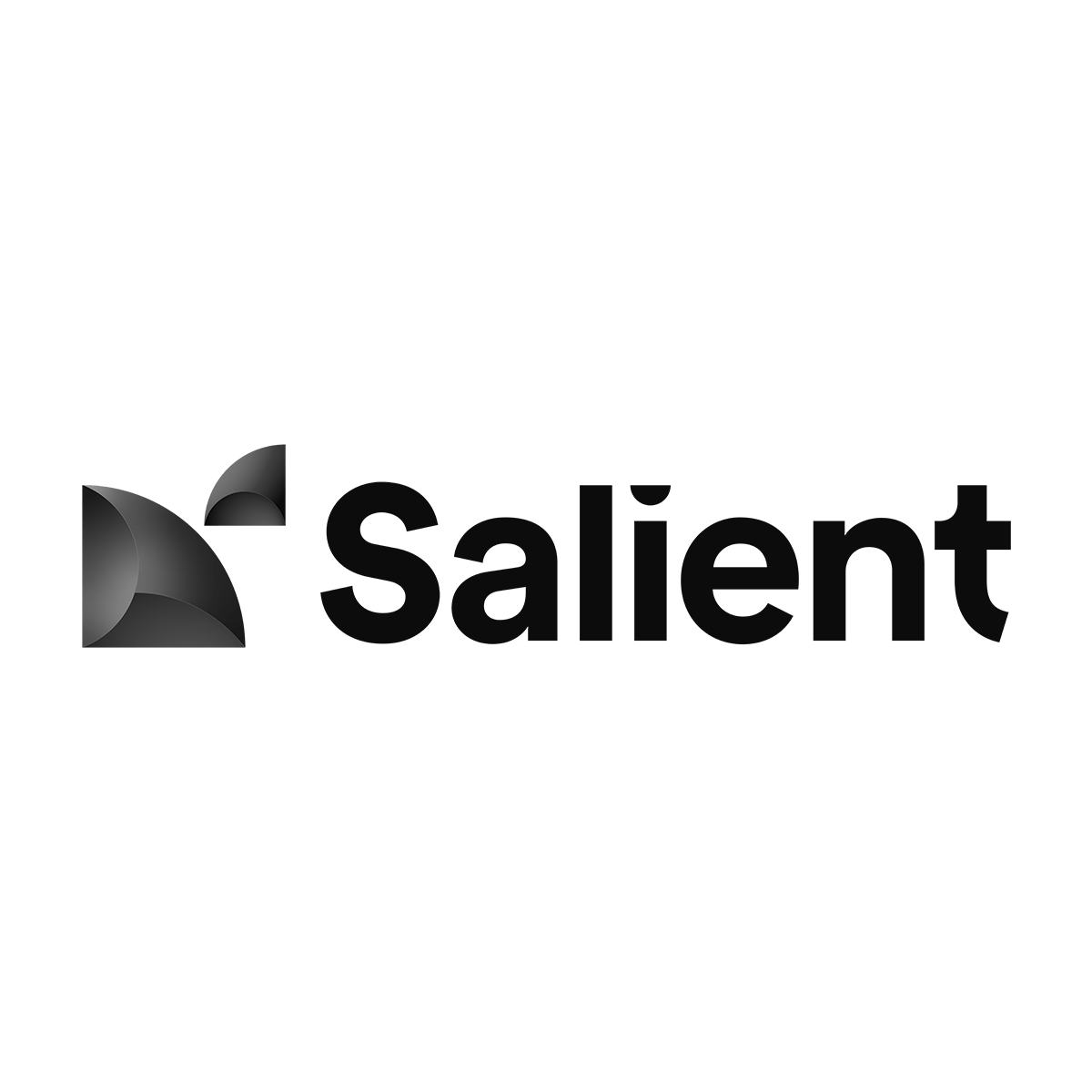 Client Salient 2